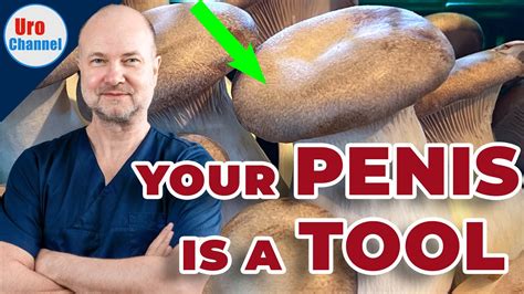 penis mushroom head|20 women tell us what makes a good penis 